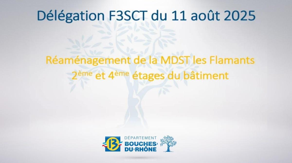 Retour sur la Délégation F3SCT - MDST Les Flamants dans le cadre des travaux de réaménagement in situ Retour sur la Délégation F3SCT - MDST Les Flamants dans le cadre des travaux de réaménagement in situ
