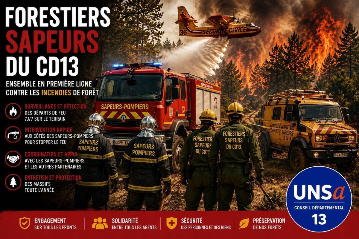 FORESTIERS SAPEURS / PRESENTATION