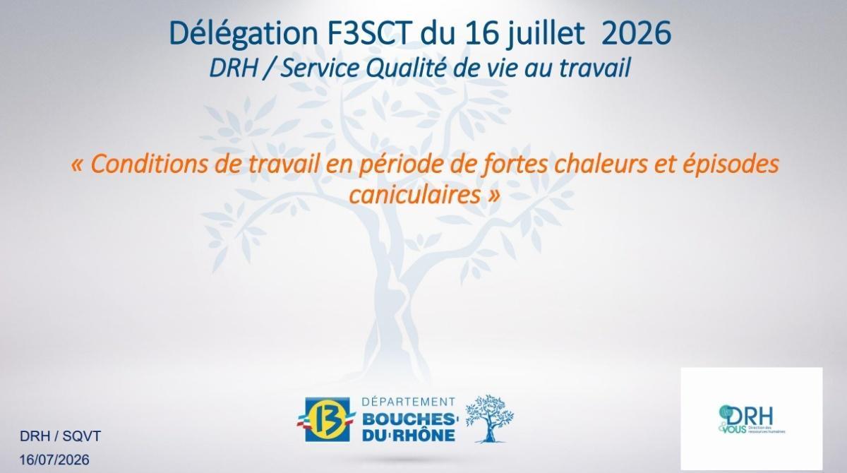 Délégation F3SCT : "Conditions de travail en période de fortes chaleurs et épisodes caniculaires" du 16 juillet 14h30