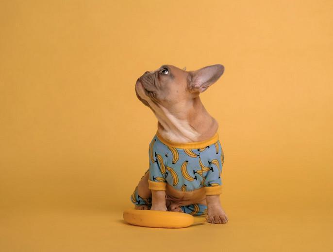 Serveis a la teva disposició Serveis a la teva disposició