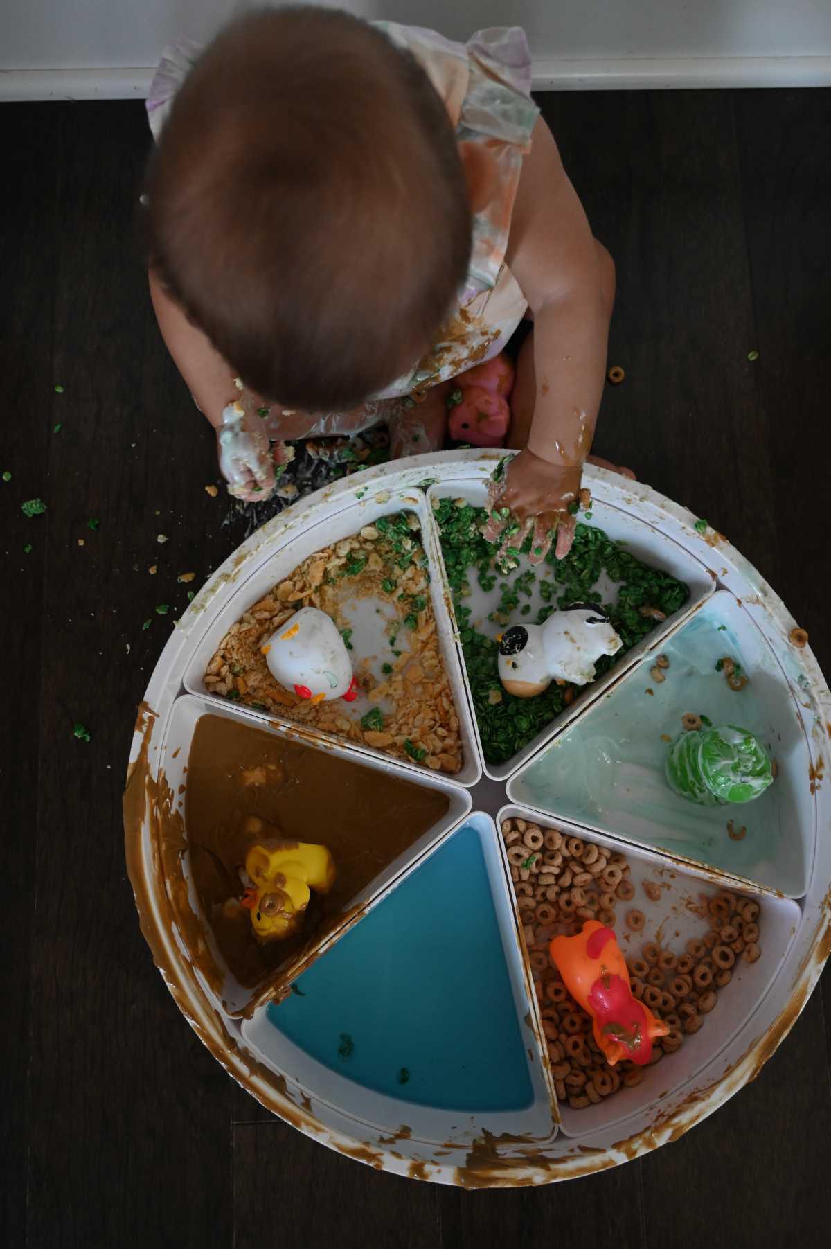 Farm Animals Sensory Taste Fun