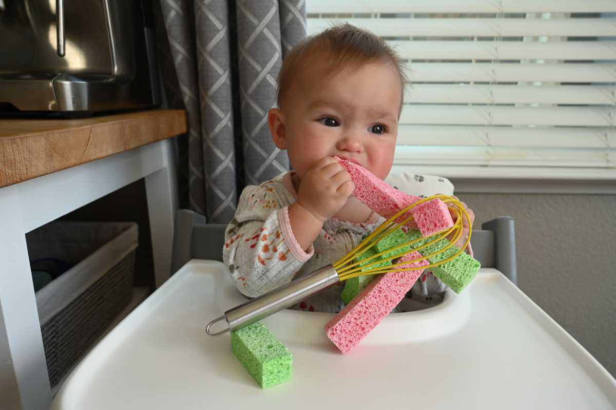 Sponge Whisk Sensory Play