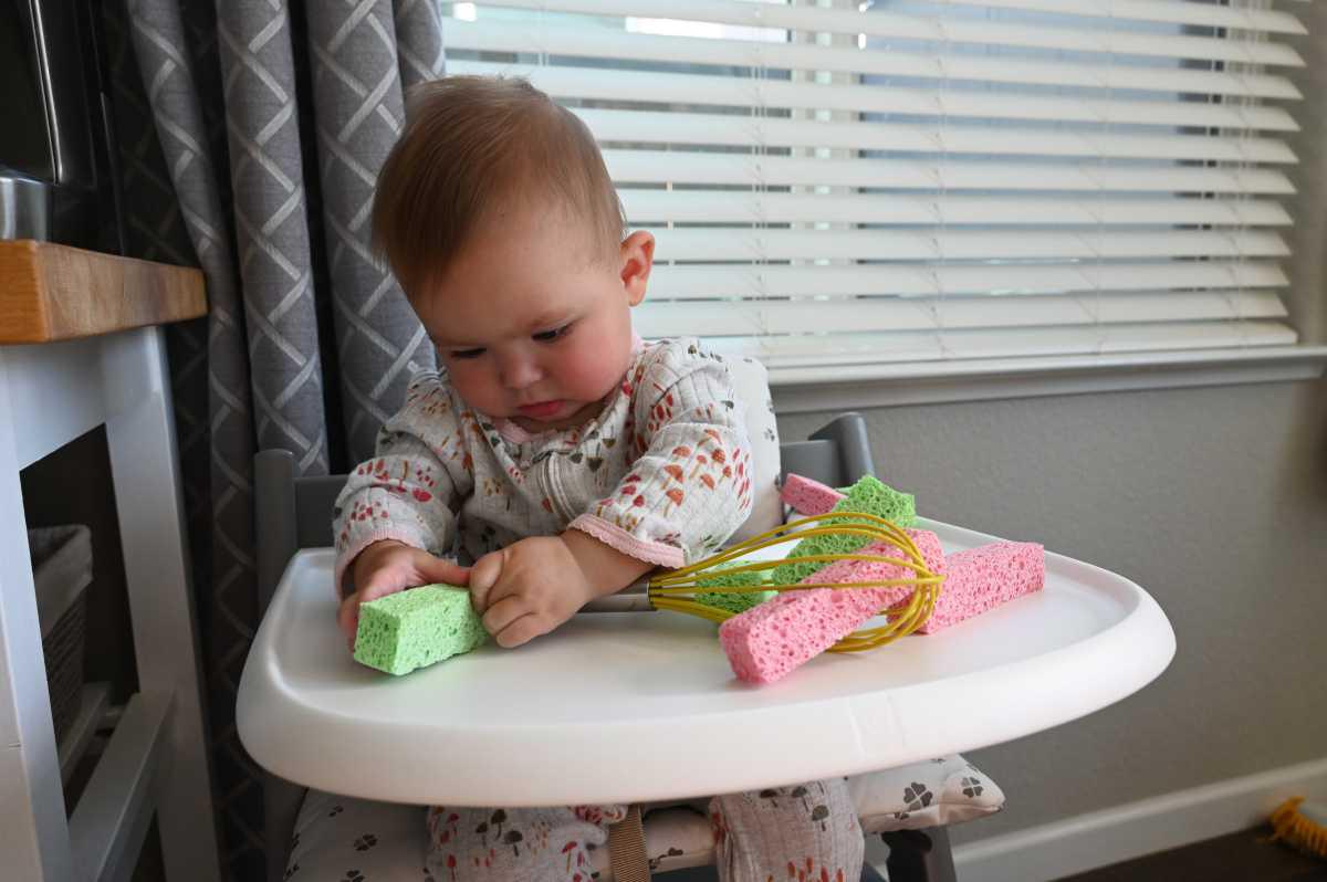 Sponge Whisk Sensory Play