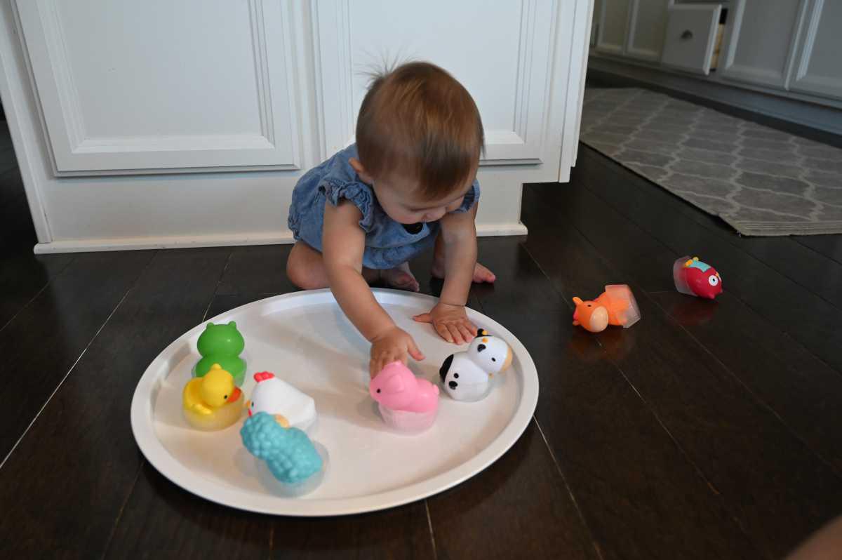 Frozen Farm Animals Teething Sensory 