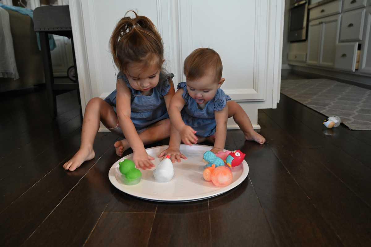 Frozen Farm Animals Teething Sensory 