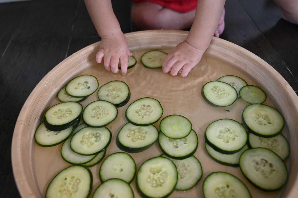 Cucumber Taste Safe Sensory Play