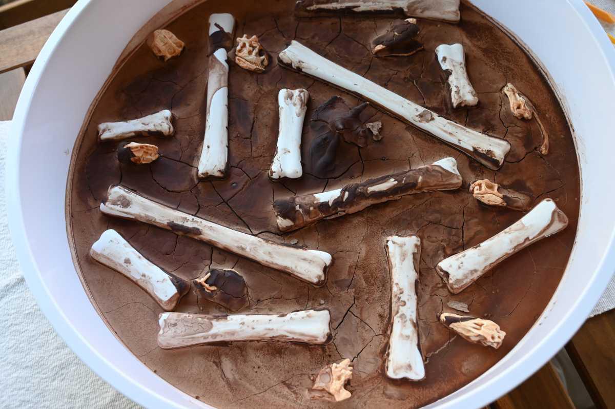 Dino Bone Dig