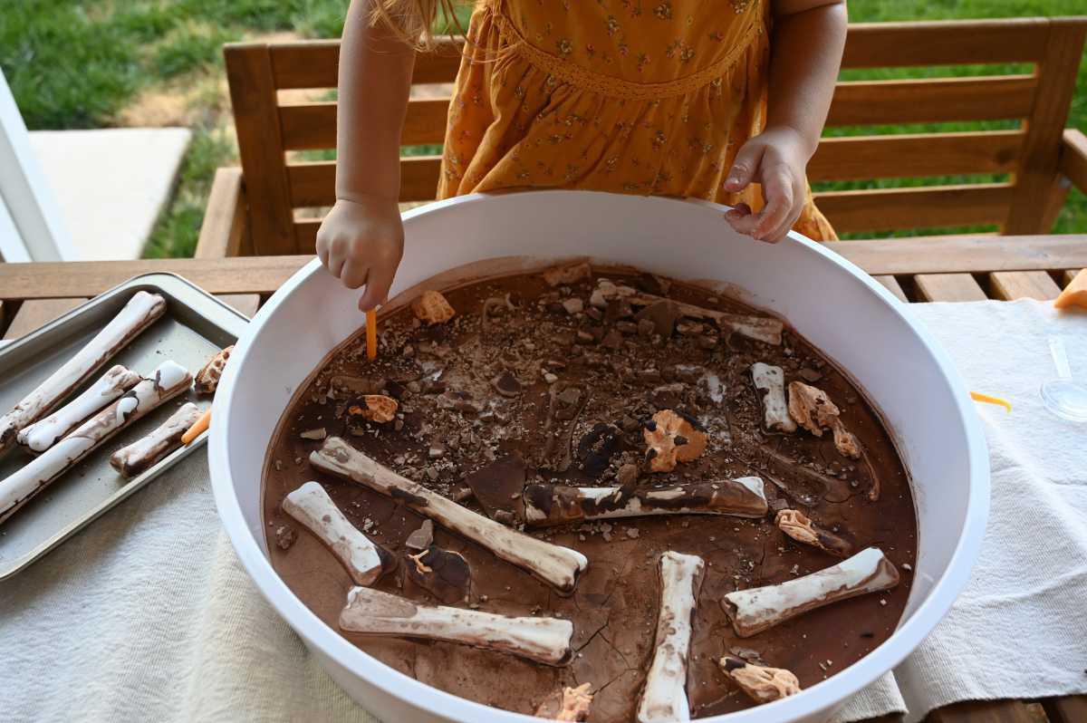 Dino Bone Dig
