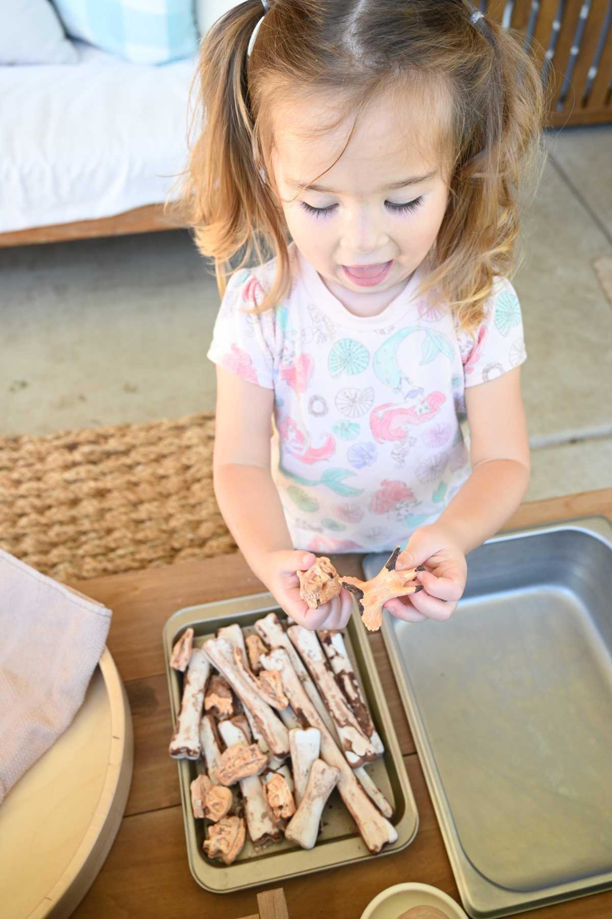 Dino Bone Wash