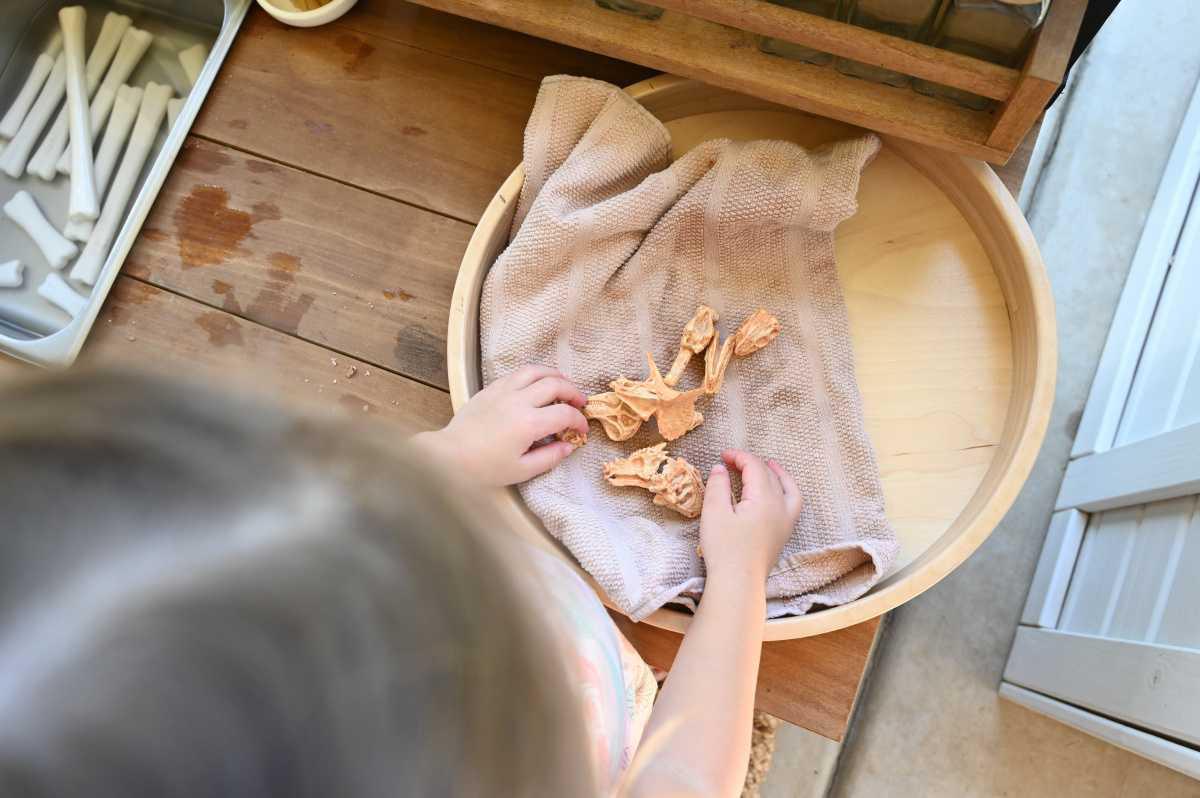 Dino Bone Wash