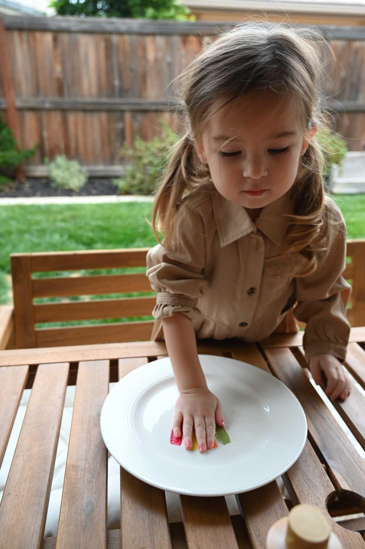 Turkey Plates