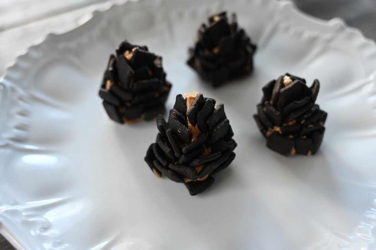 Edible Pinecones