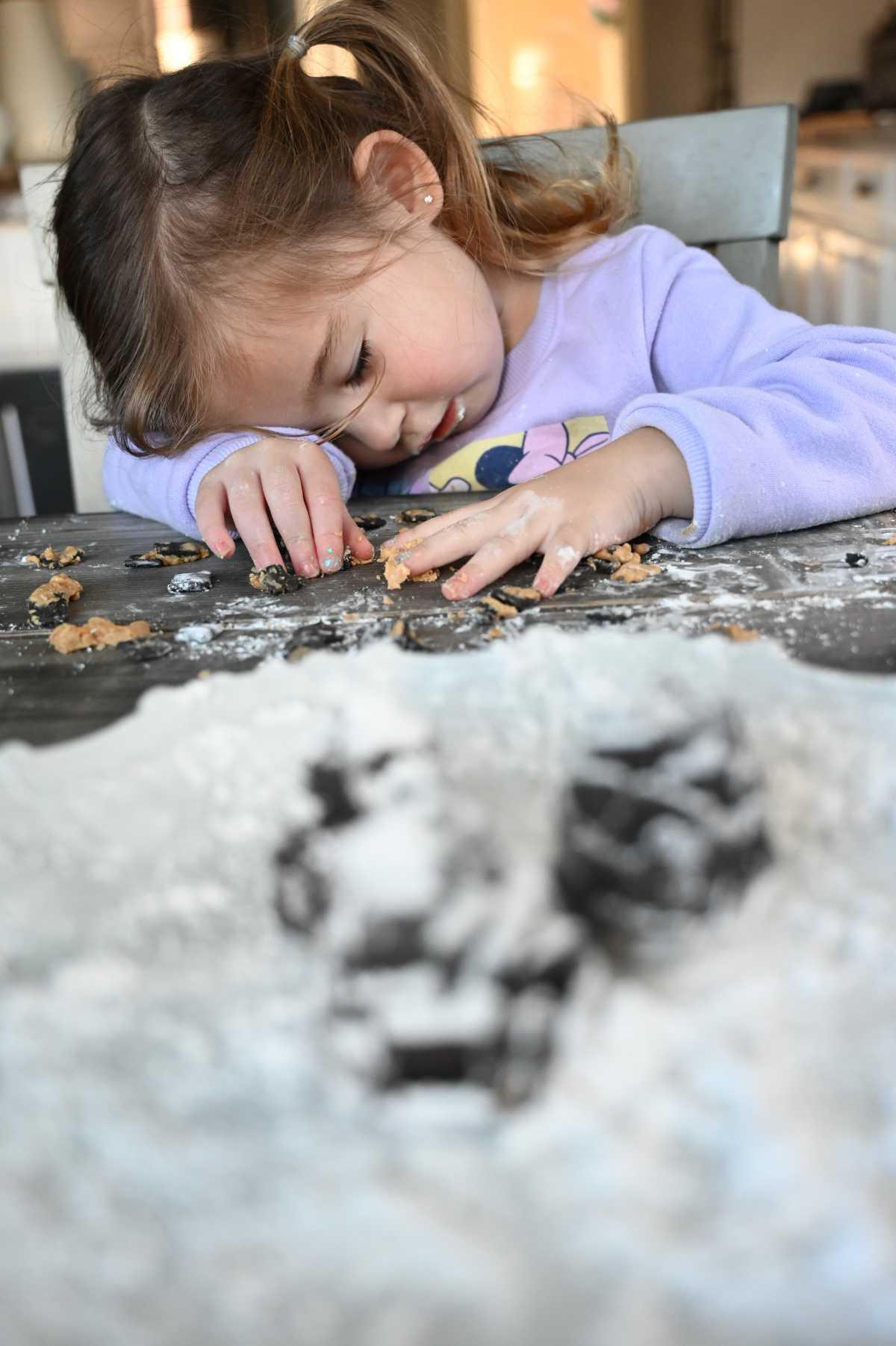 Edible Pinecones