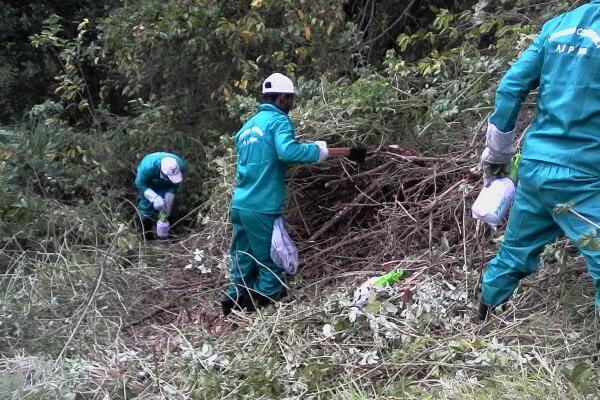 Mtunzini Conservancy Alien Invasive Project.