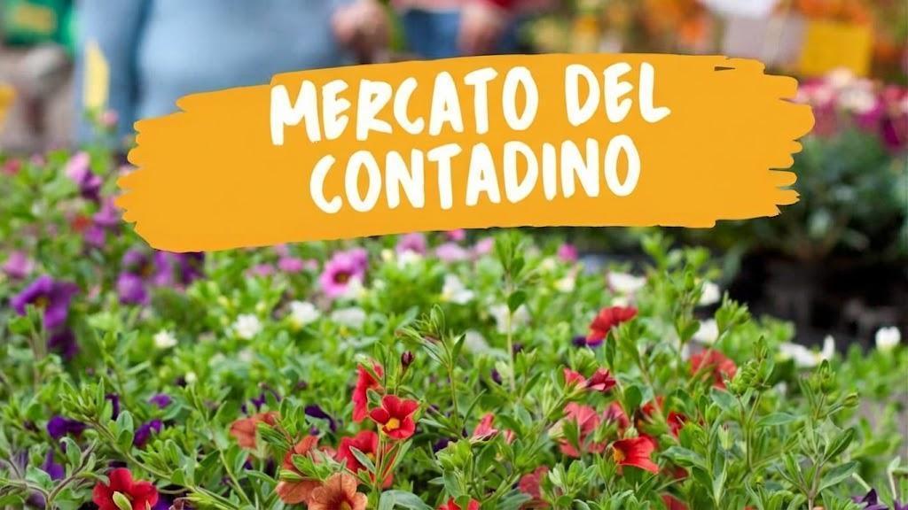 Mercato Contadino (dalle ore 8.30 alle ore 12.30)