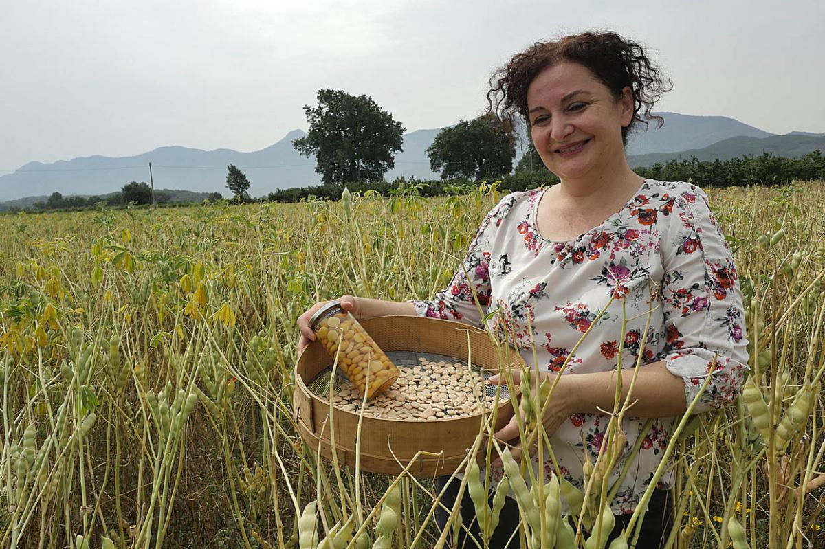 THE OLD “CAMPANIA FELIX” FARMS TOUR