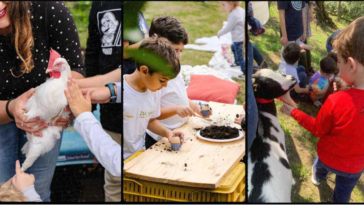 FAMILY TOUR  FAMILY TOUR