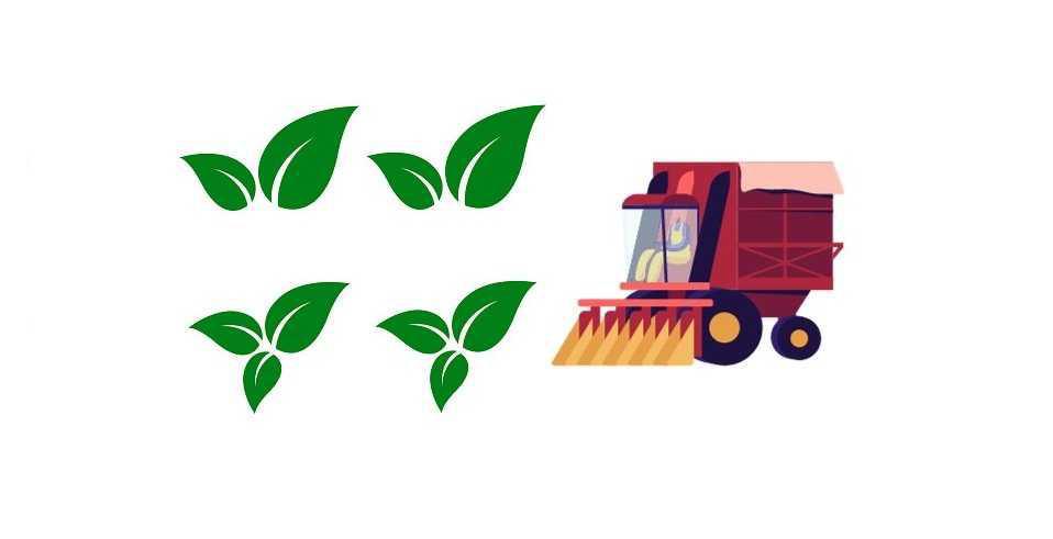 Stasera esporre sfalcio (domani spazzamento)