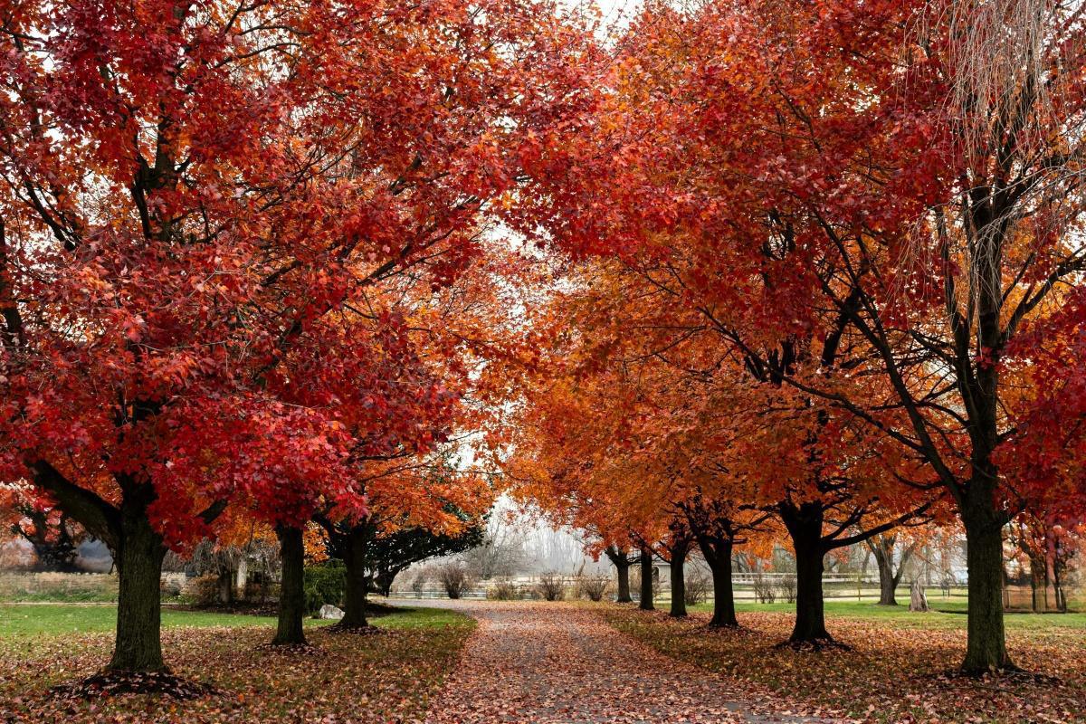 Copy of Copy of Article #256