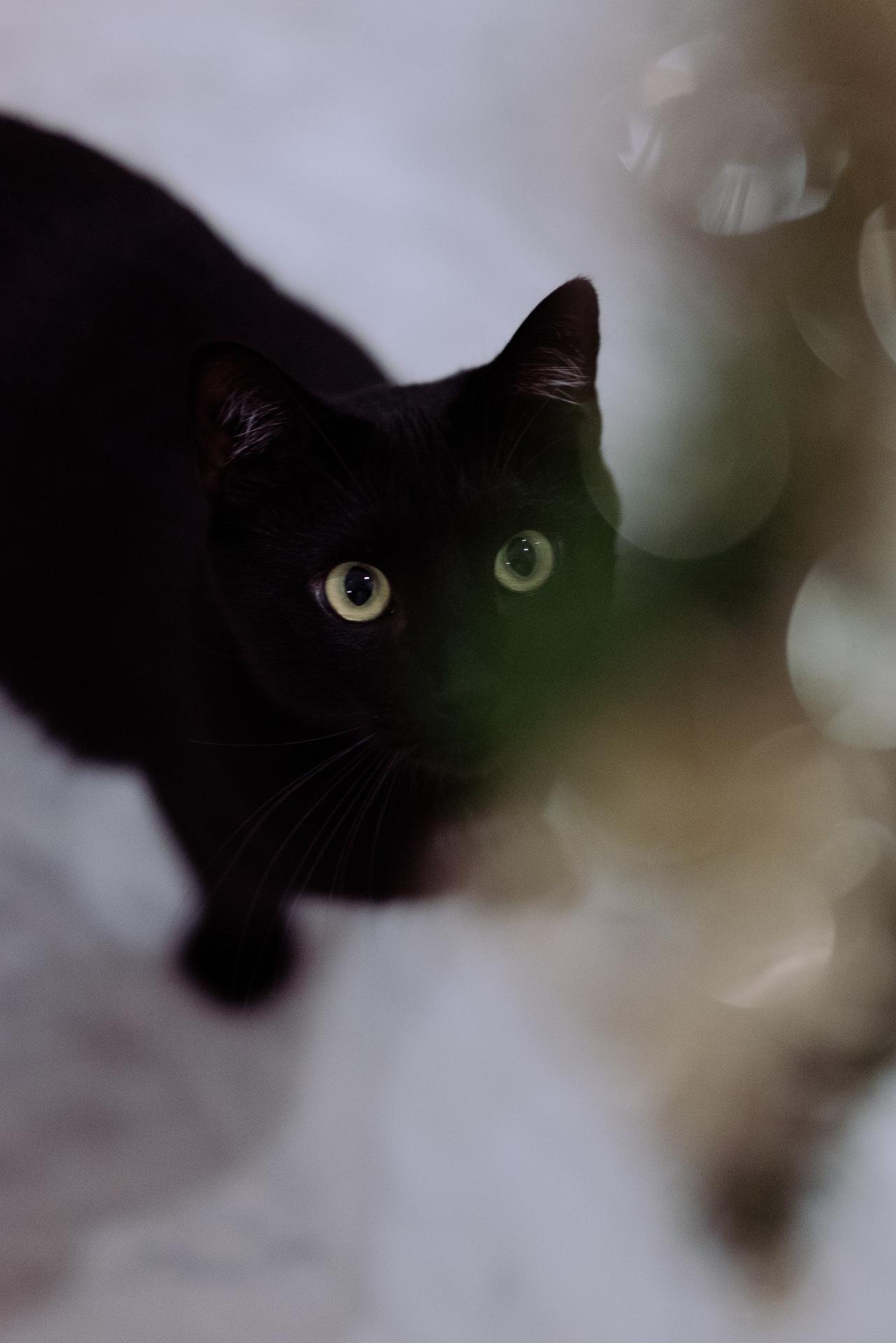 Lorem ipsum dolor sit amet, consectetur adipiscing elit, sed do eiusmod tempor incididunt ut labore et dolore magna aliqua. Ut enim ad minim veniam, quis nostrud exercitation ullamco laboris nisi ut aliquip ex ea commodo consequat. Duis aute irure dolor in reprehenderit in voluptate velit esse cillum dolore eu fugiat nulla pariatur. Excepteur sint occaecat cupidatat non proident, sunt in culpa qui officia deserunt mollit anim id est laborum.Lorem ipsum dolor sit amet, consectetur adipiscing elit, sed do eiusmod tempor incididunt ut labore et dolore magna aliqua. Ut enim ad minim veniam, quis nostrud exercitation ullamco laboris nisi ut aliquip ex ea commodo consequat. Duis aute irure dolor in reprehenderit in voluptate velit esse cillum dolore eu fugiat nulla pariatur. Excepteur sint occaecat cupidatat non proident, sunt in culpa qui officia deserunt mollit anim id est laborum.