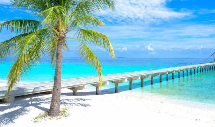 Tropical Getaway - Tropische Auszeit