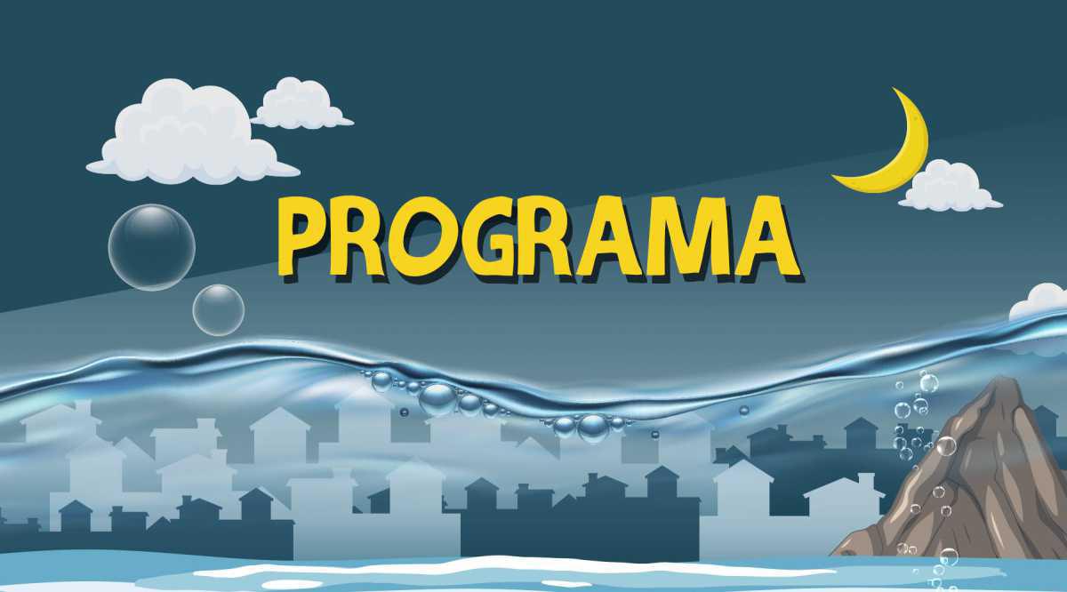 PROGRAMA PROGRAMA