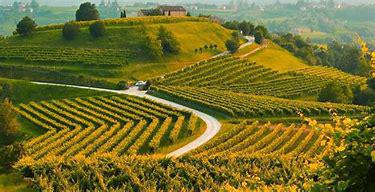 La Strada del Prosecco La Strada del Prosecco