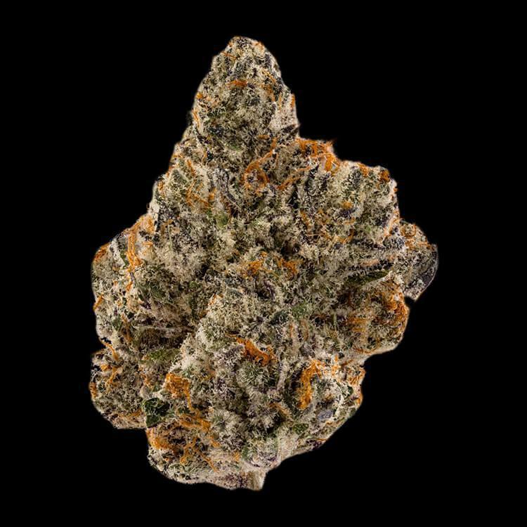 Power Outage by The Grower's Circle Power Outage by The Grower's Circle