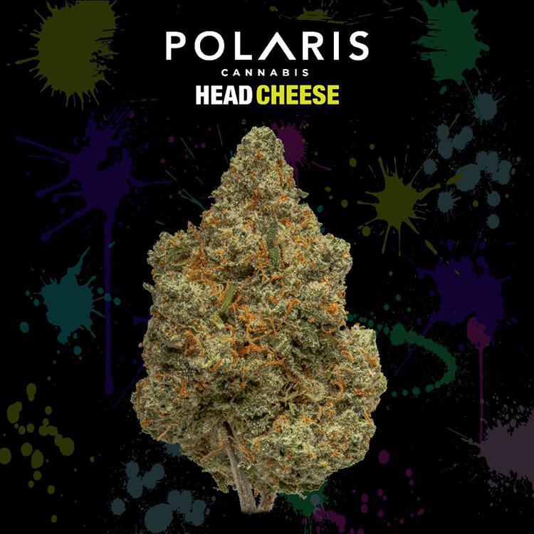Head Cheese by Polaris MMJ Head Cheese by Polaris MMJ