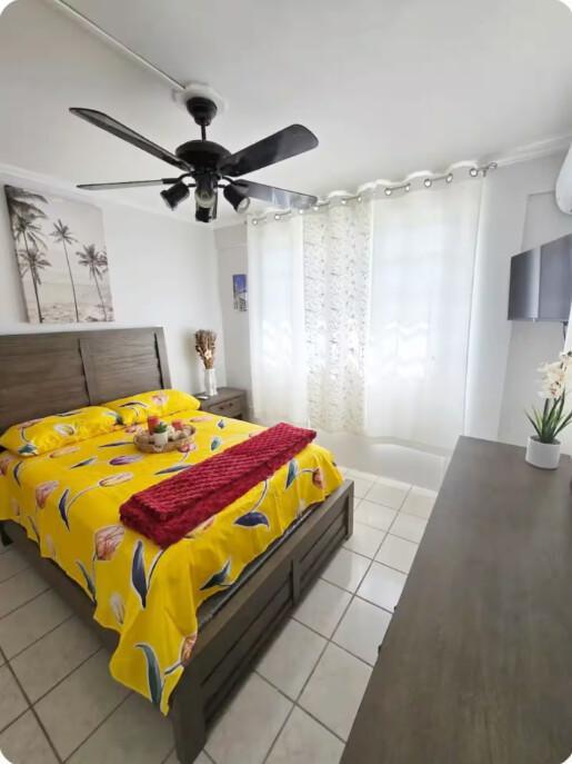 Casa Palmera