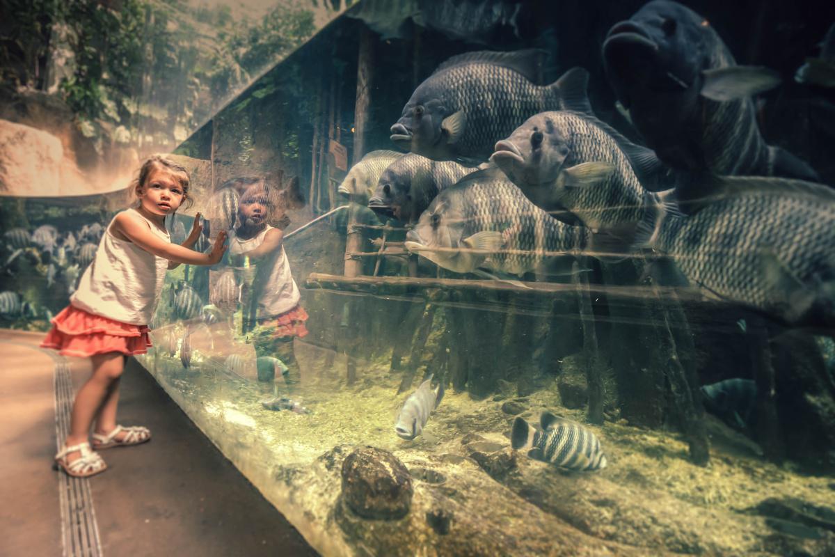 ZOO de Beauval