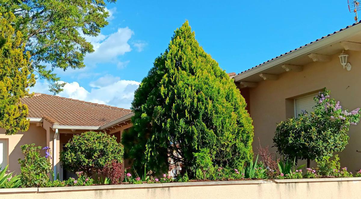 Vivienda tutelada