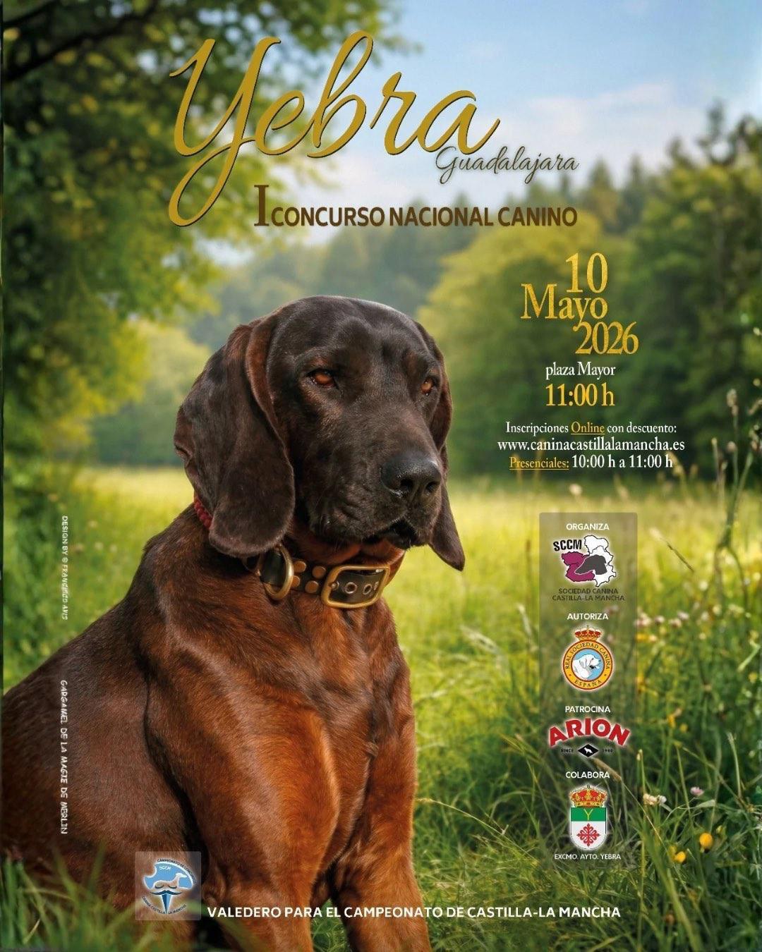 I CONCURSO CANINO
