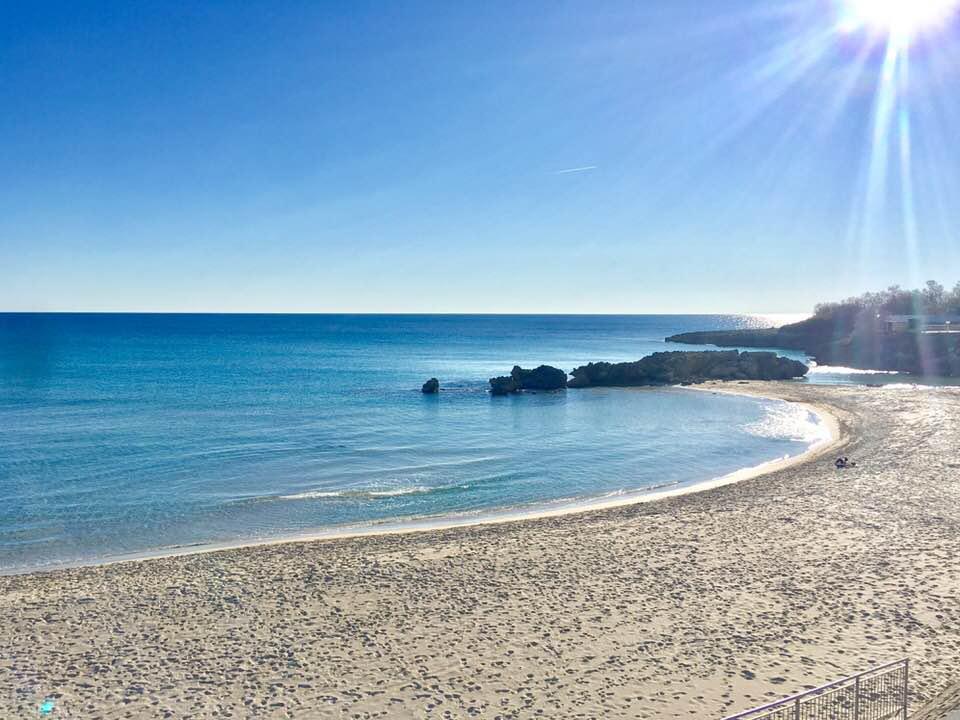 BLUE DREAM APNEA BLUE DREAM APNEA