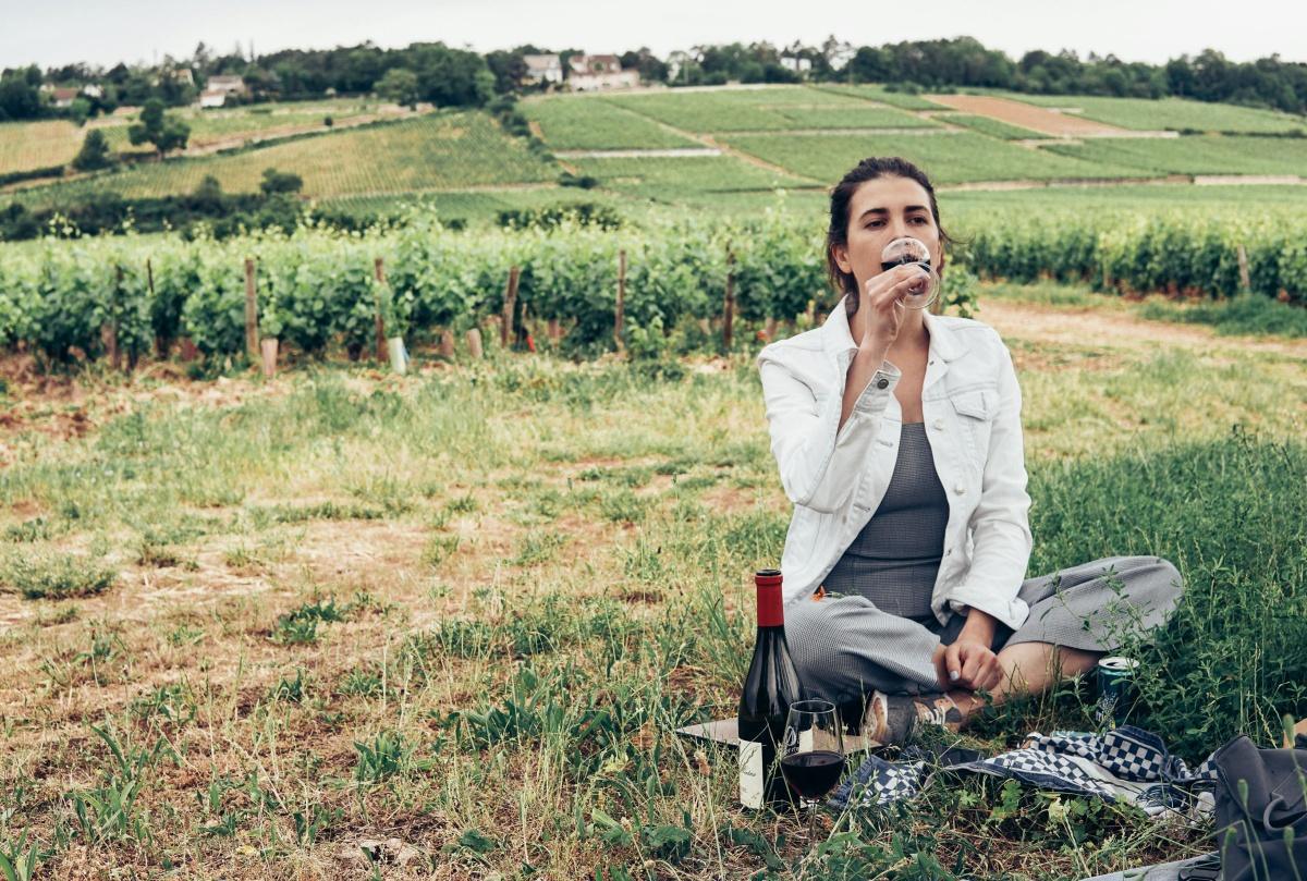 Pique nique dans les vignes