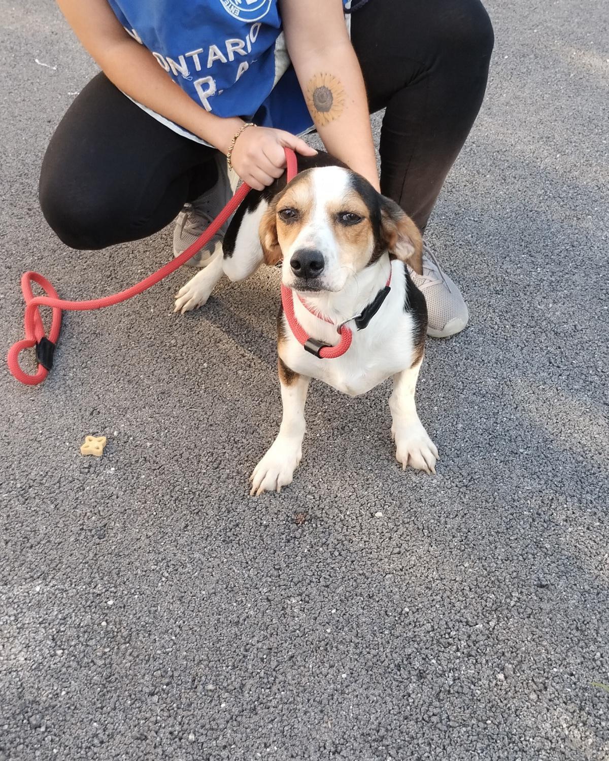 PINOTTO CERCA CASA PINOTTO CERCA CASA