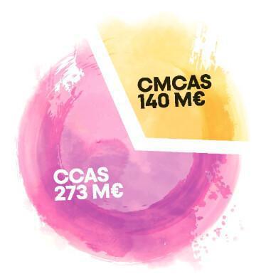 COMITE DE COORDINATION DES CMCAS on en parle