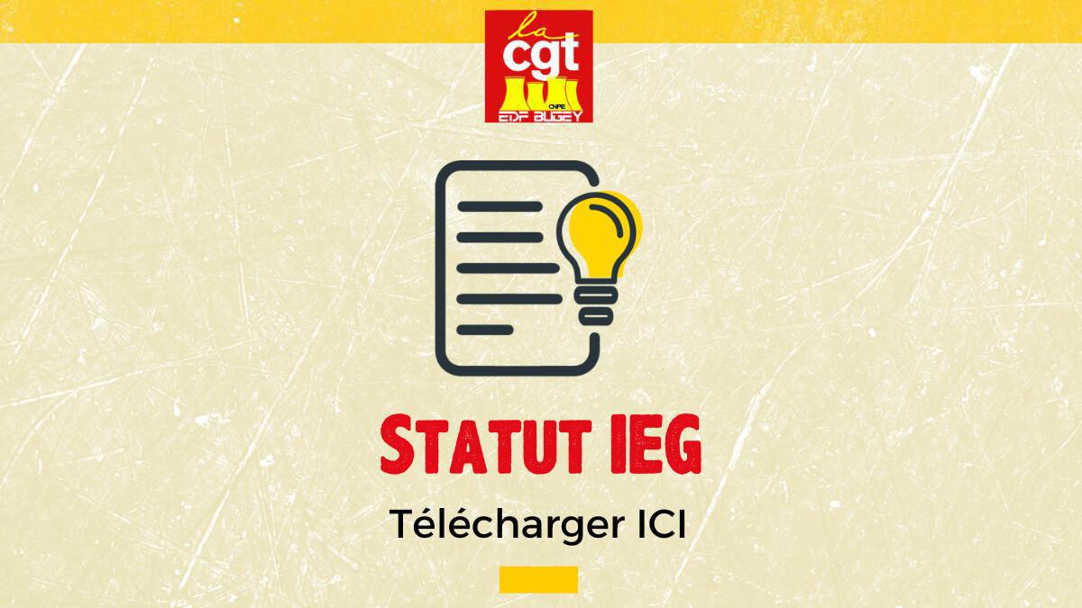 Statut IEG Statut IEG