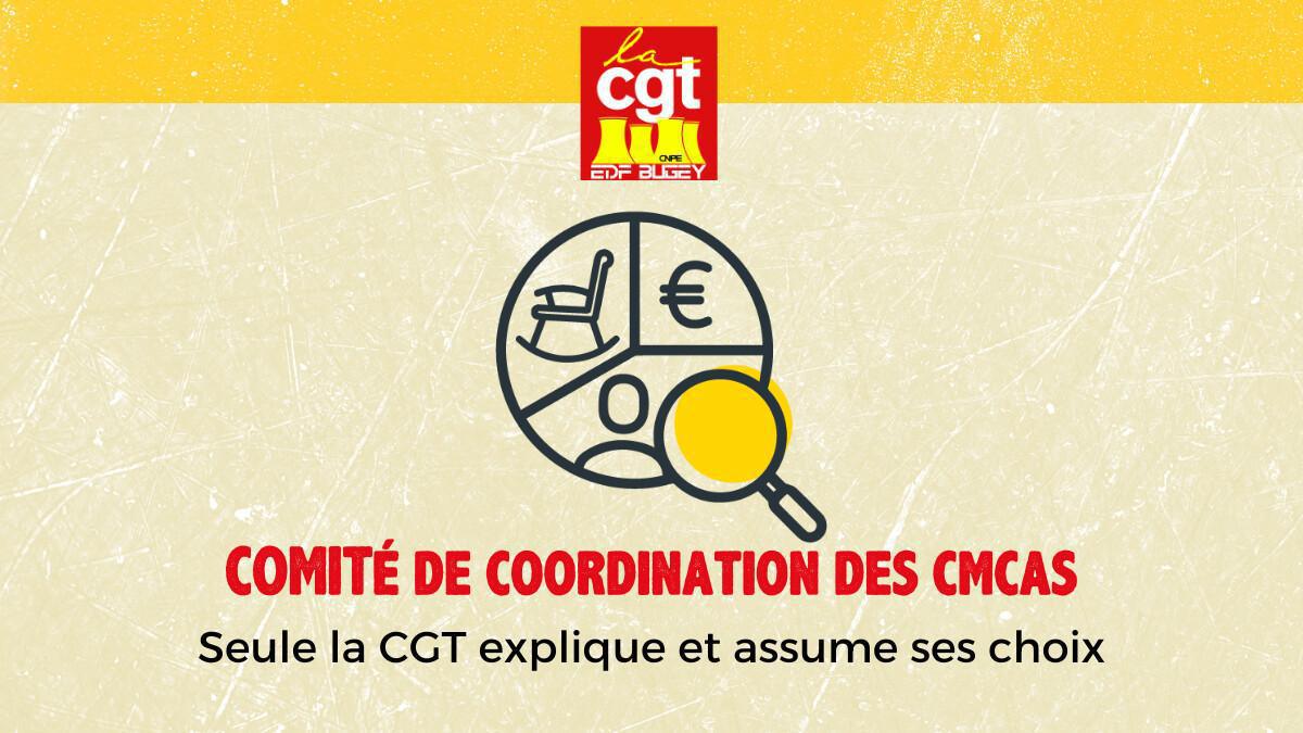 Répartition du budget 2025 CMCAS/CCAS
