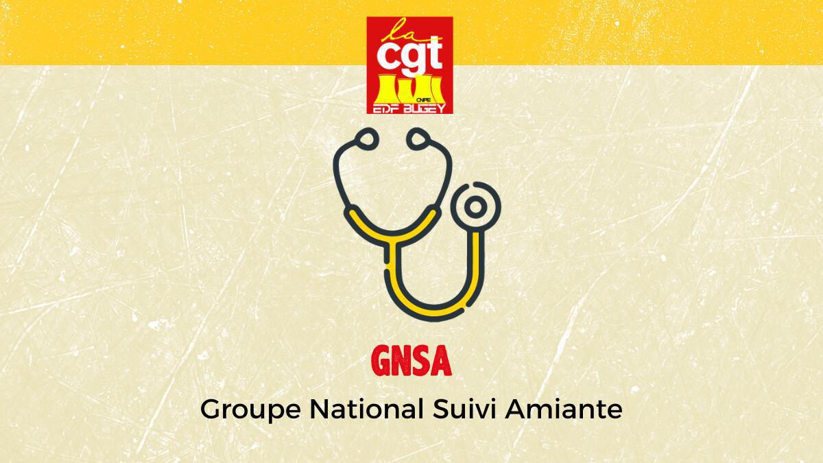 GNSA : groupe national suivi amiante GNSA : groupe national suivi amiante