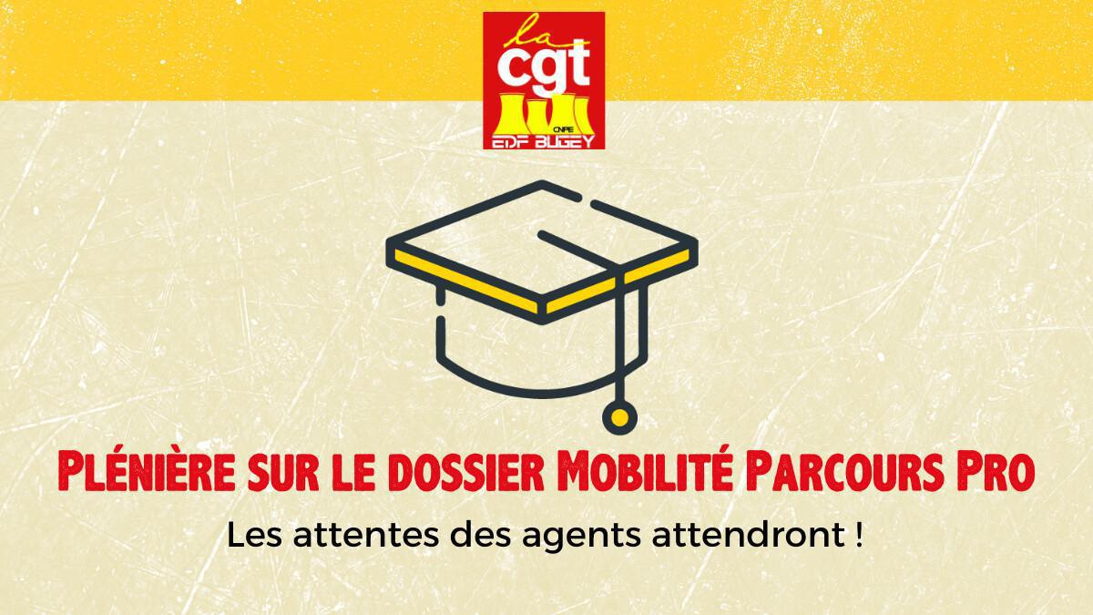 Plénière sur le dossier Mobilité Parcours Pro : Les attentes des agents attendront !