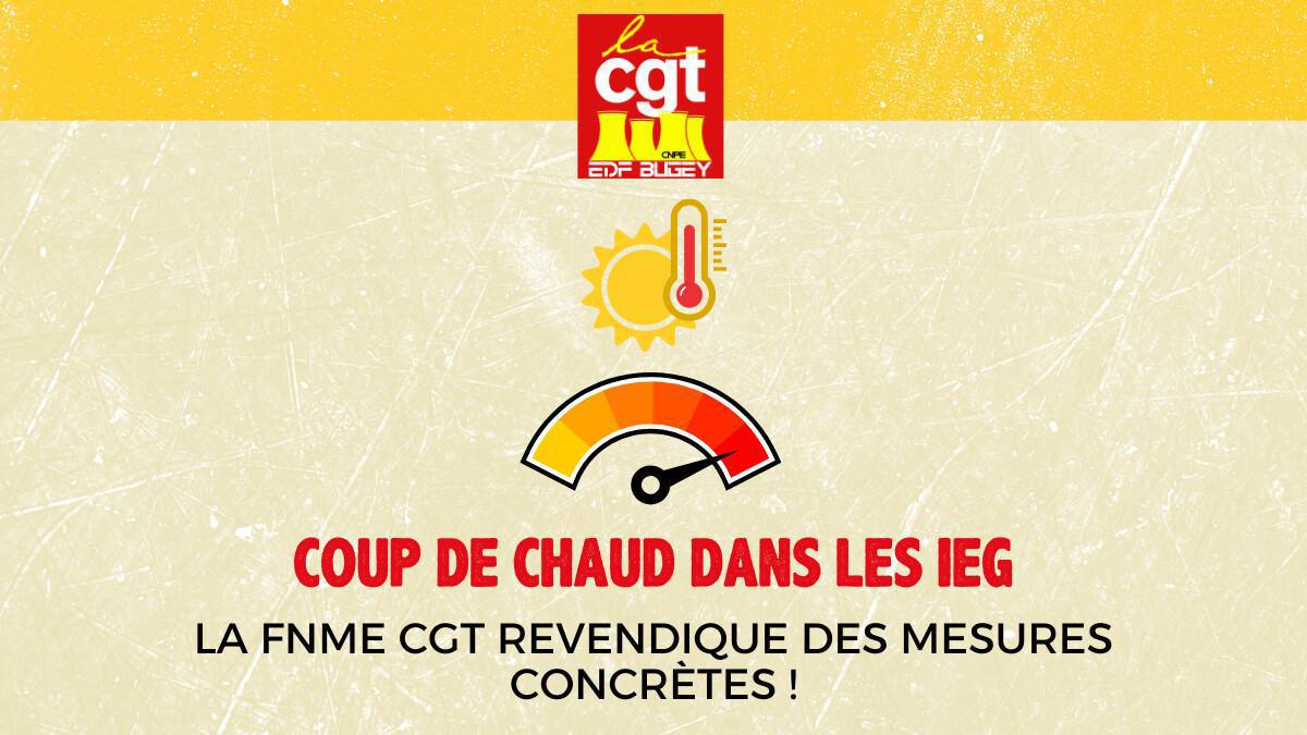🌡️ COUP DE CHAUD DANS LES IEG : LA FNME CGT AGIT POUR LES SALARIÉS ! ​🌡️