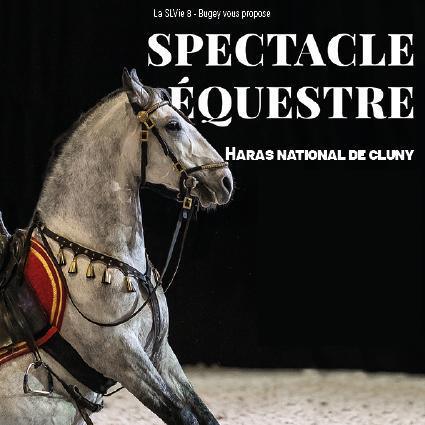 Spectacle Equestre à Cluny - Samedi 18 Octobre