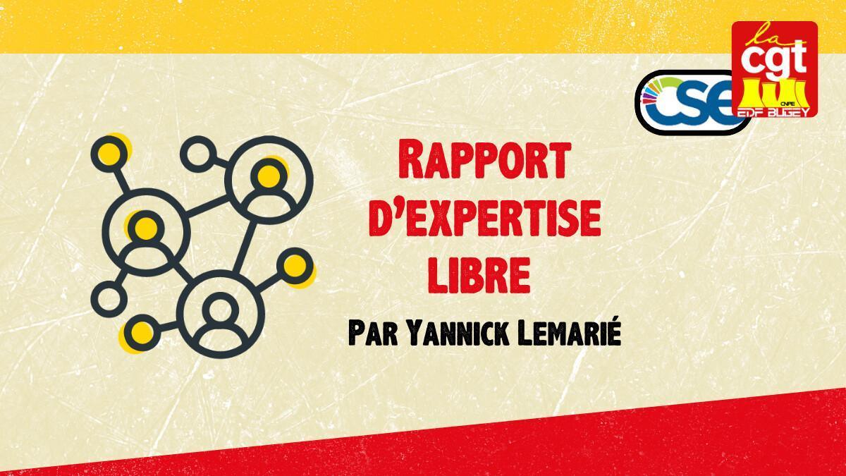 Note grève : Rapport expertise libre sur les conditions de travail