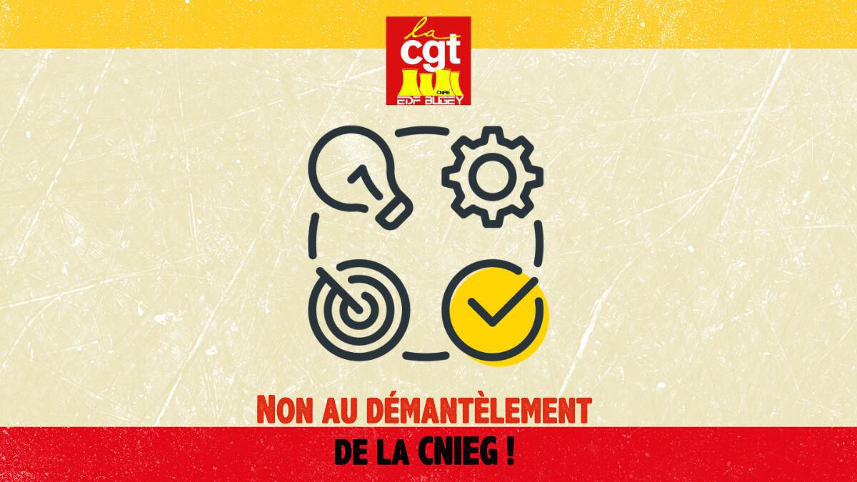 Non au démantèlement de la CNIEG ! Non au démantèlement de la CNIEG !