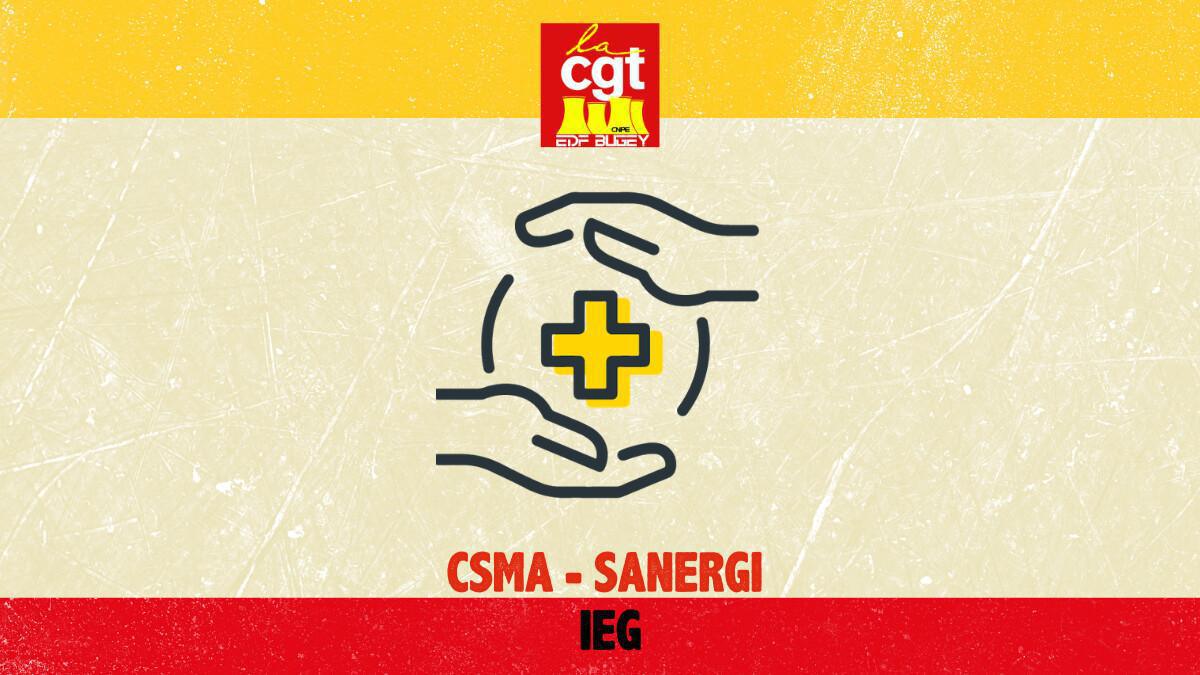 [DECRYTAGE] CSMA-Sanergi IEG