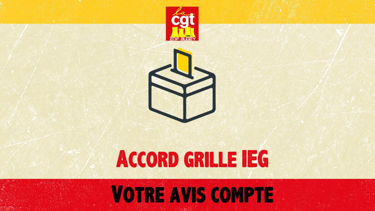 Modernisation de la Grille de Rémunération IEG