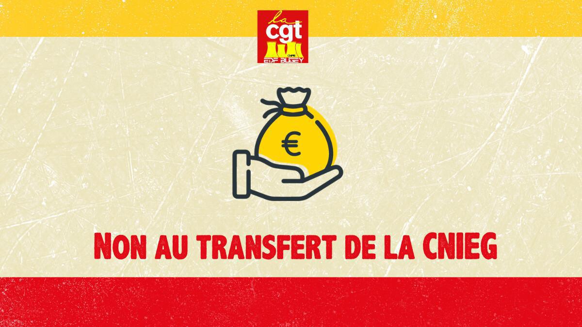 Non au transfert de la CNIEG !!