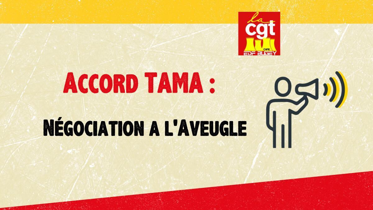 Accord TAMA : Négociation a l'Aveugle