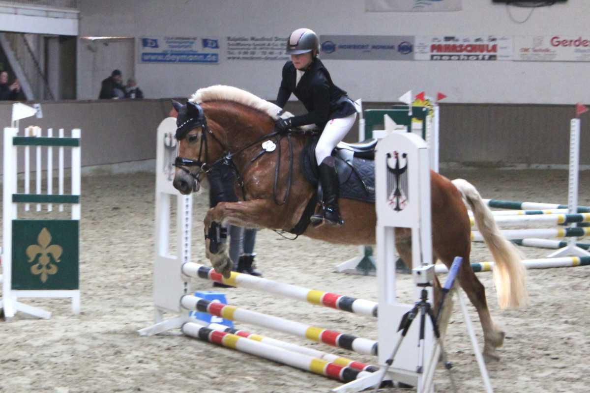 Hervorragender Reitsport in Dressur und Springen  Hervorragender Reitsport in Dressur und Springen
